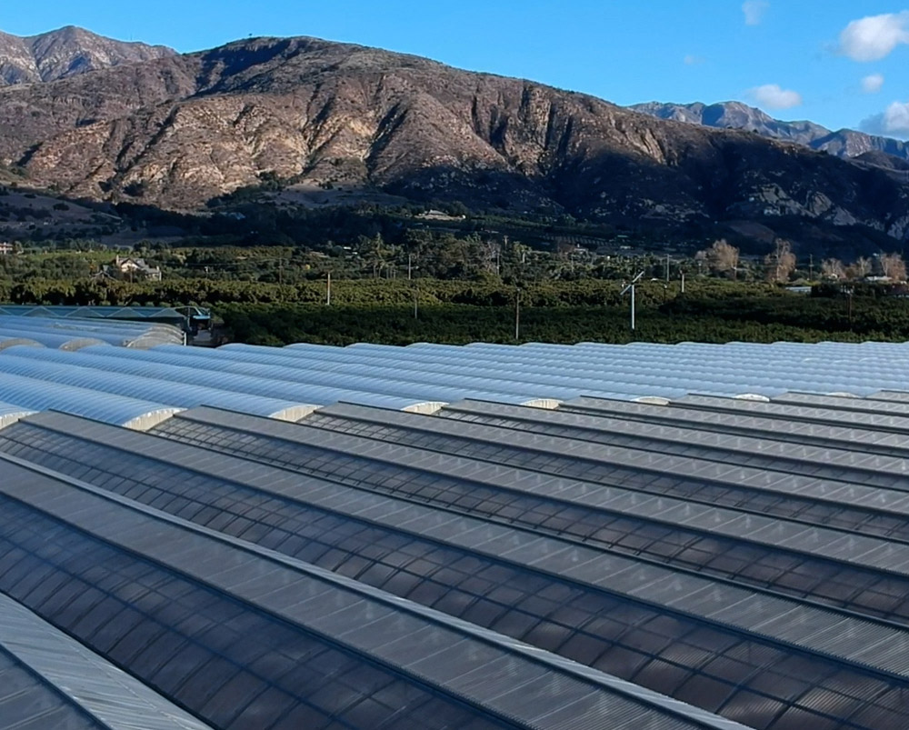 Aerual shot of greenhouse roofing panels