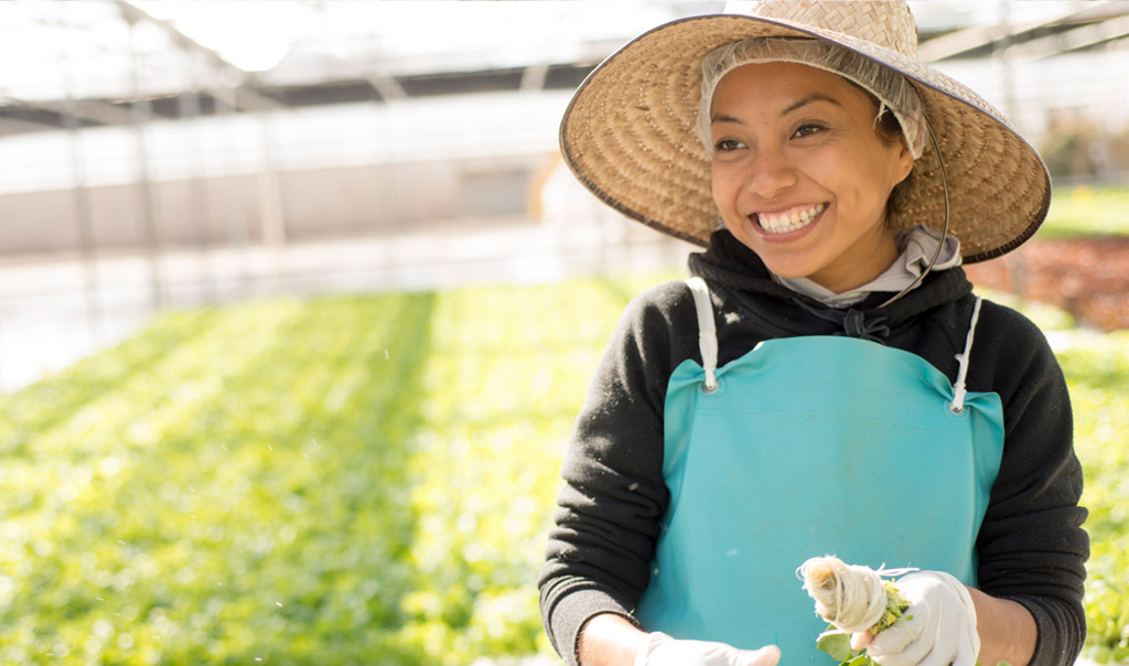 Farmlane employee wearing a straw hat and apron, smiling in the greenhouse