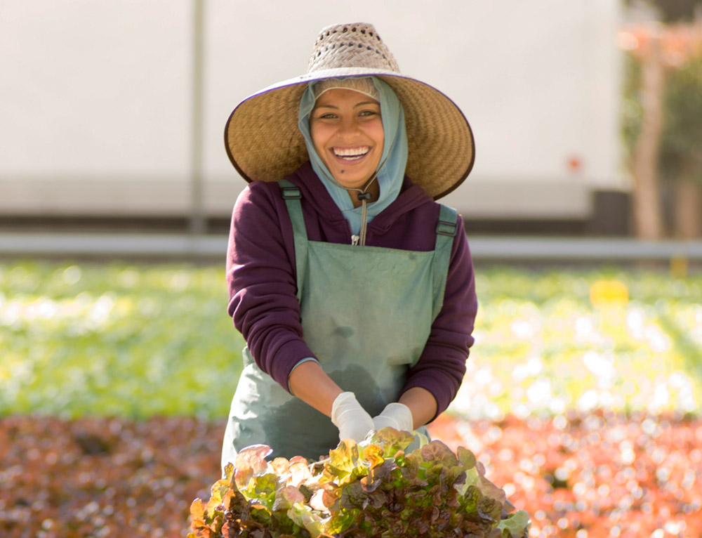 Farmlane team member smiling into the camera, holding hydroponic lettuces